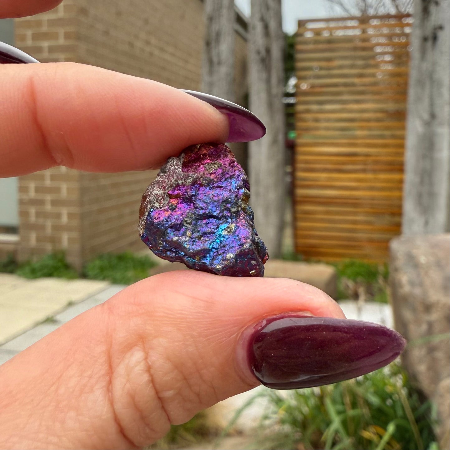 Peacock Ore #5