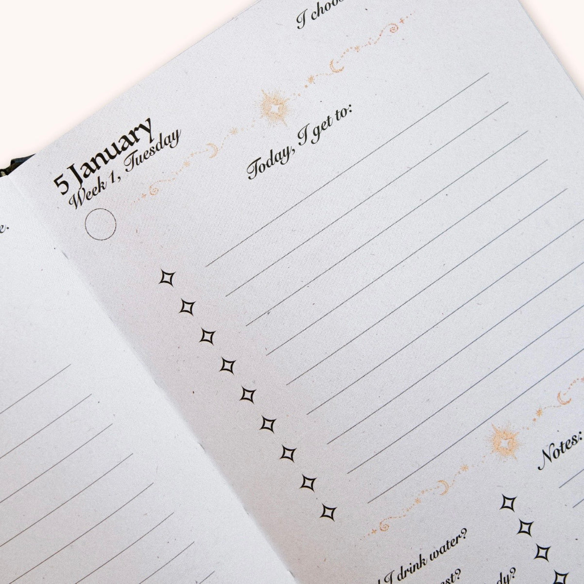 Dreamy Moons Black 2027 Daily Planner