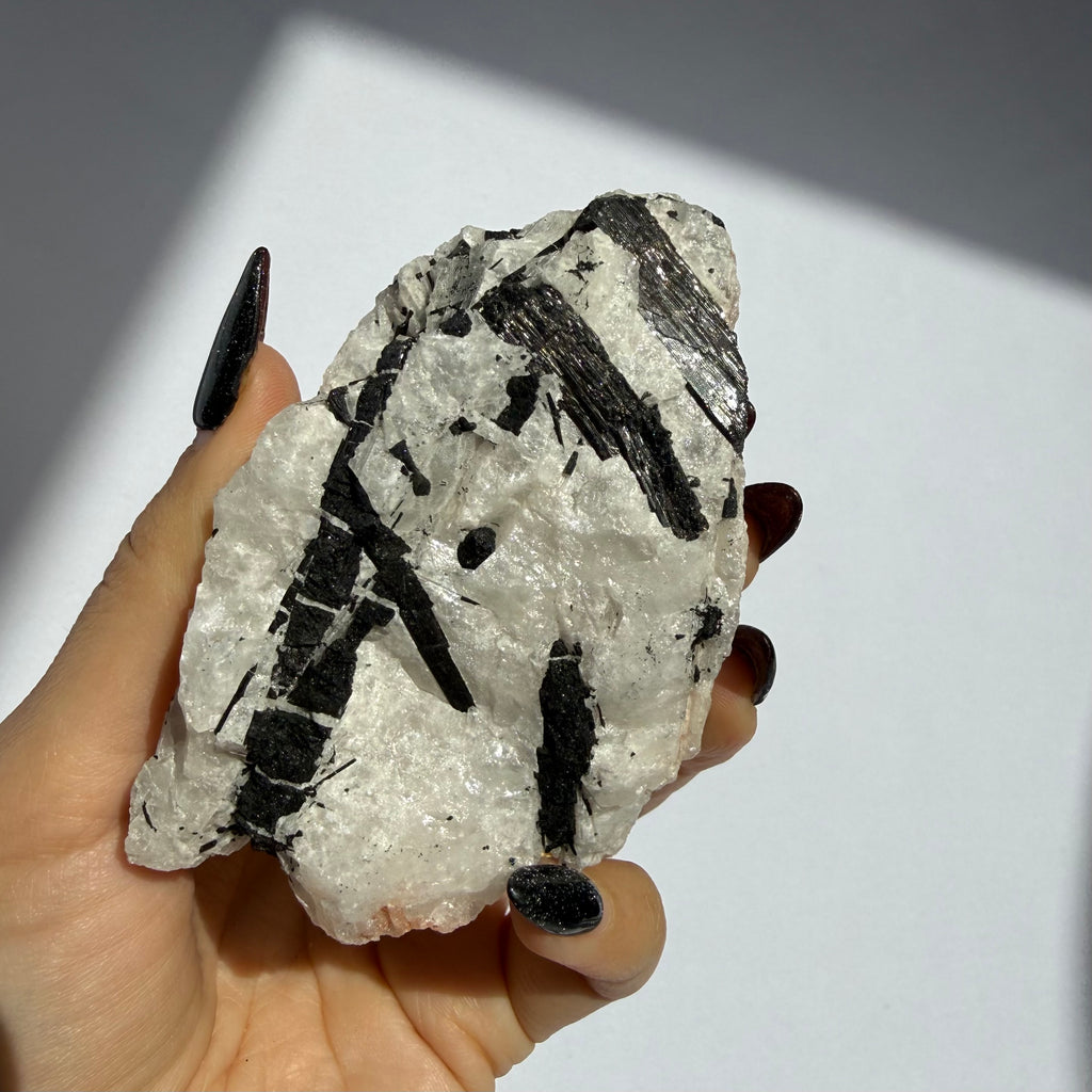Black Tourmaline In Quartz Rough