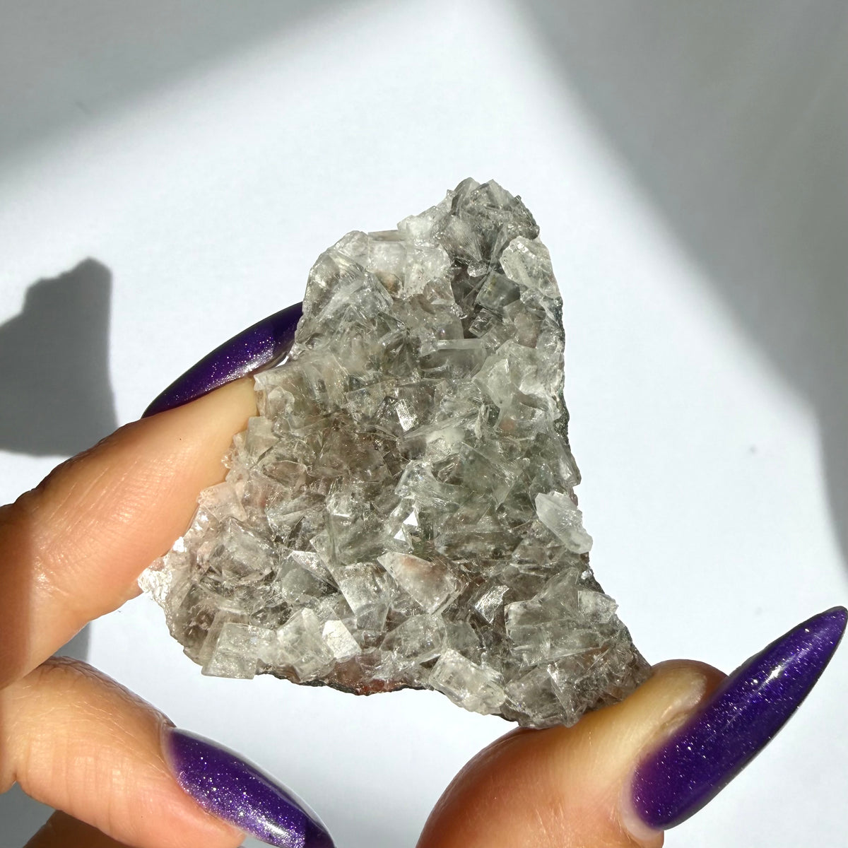 Stormy Apophyllite Cluster