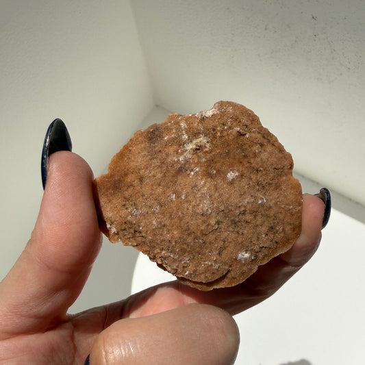 Gypsum Desert Rose