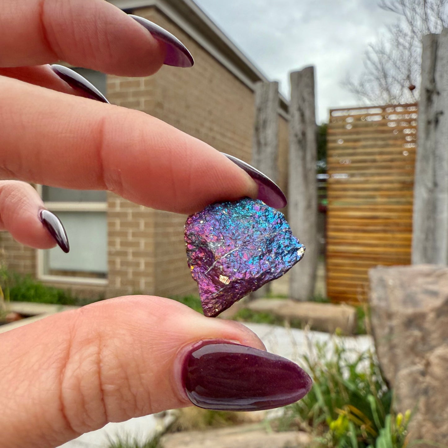 Peacock Ore #22