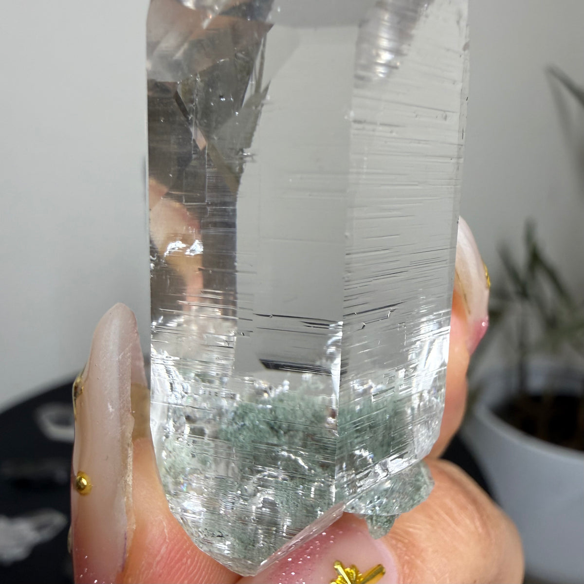 Himalayan Lemurian Quartz Point