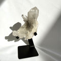 Black Lithium In Clear Quartz Cluster