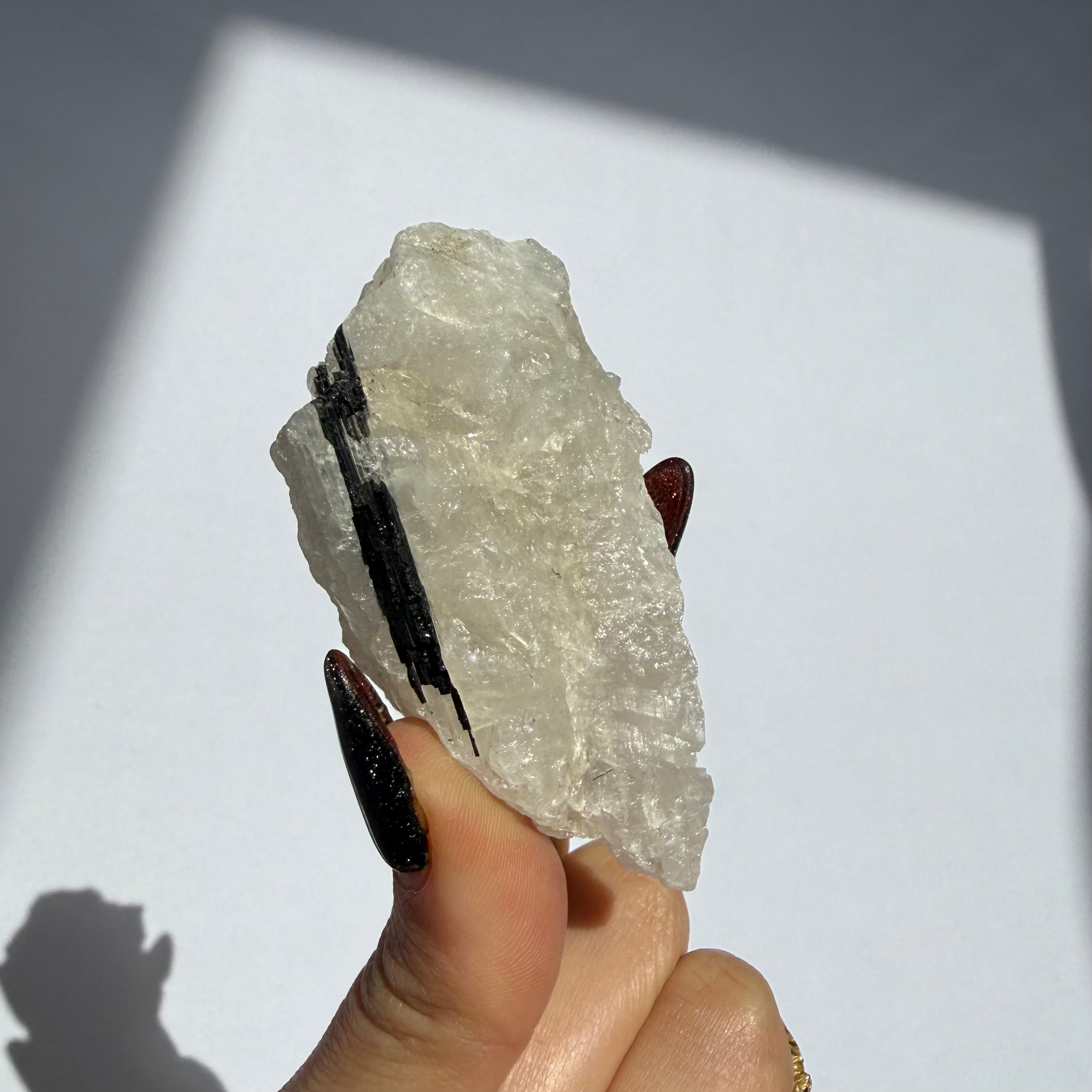 Black Tourmaline In Quartz Rough