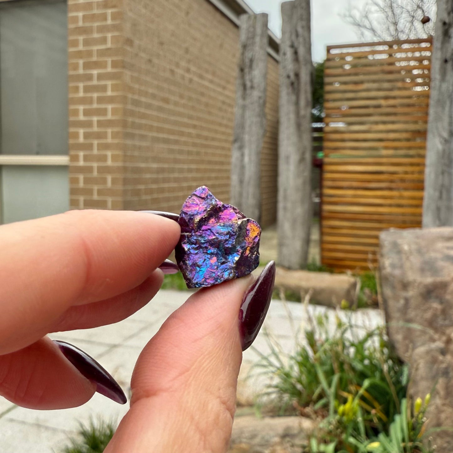 Peacock Ore #25