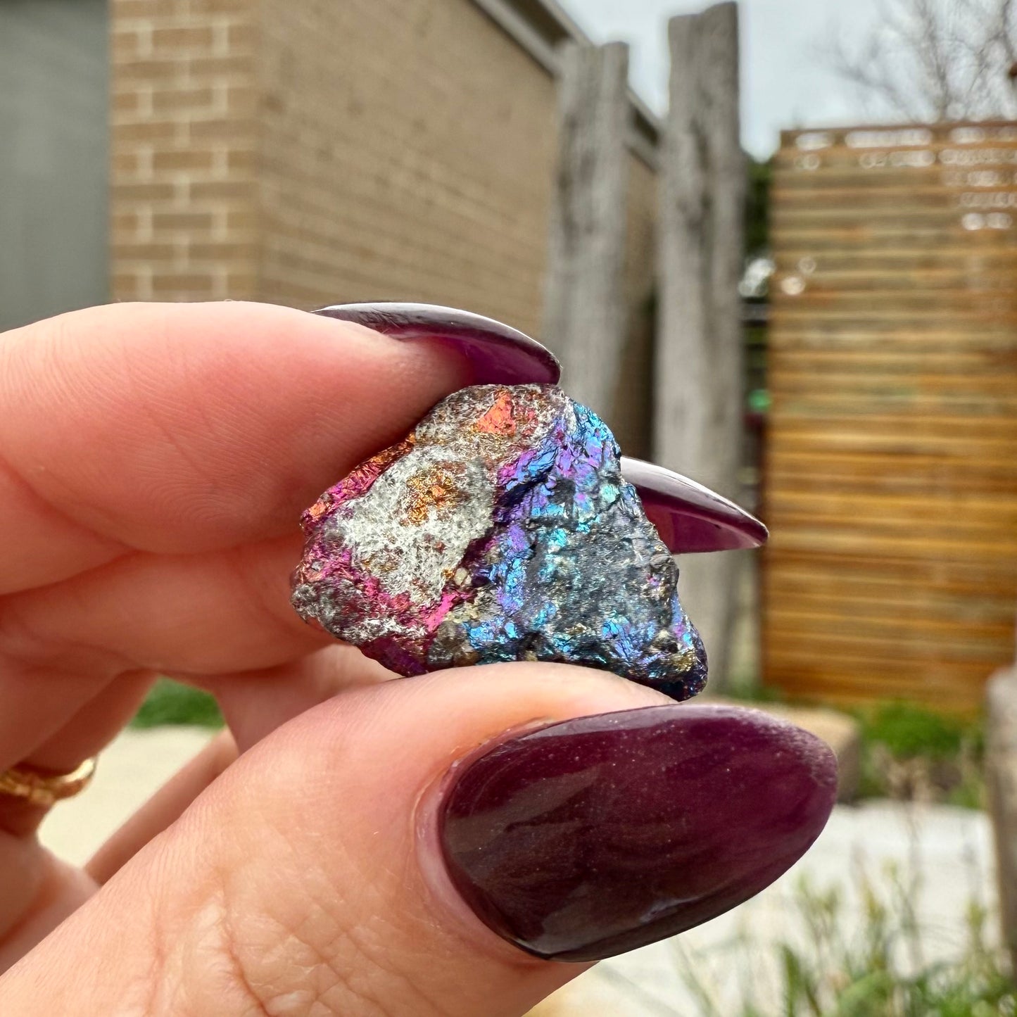Peacock Ore #5
